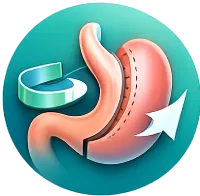 آیکن جراحی اسلیو معده